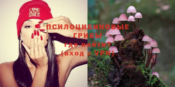 соль курить ск Арсеньев